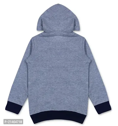 Boys  Girls Grey Cotton Sweatshirts  Hoodies Pack Of 1-thumb2