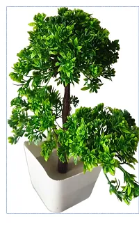 Attractive looking green bonsai plant with pot. For home, office, desk decoration-thumb2