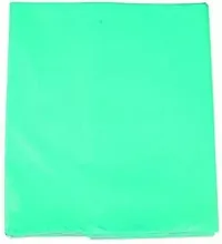 Stylzi Baby Plastic Sheet | Bed Protecting Mat | Rubber Sheet | Mattress Protector | Waterproof Bed Sheet PVC Double Bed (78x72 inch) Green-thumb1