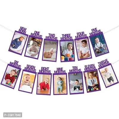 Festiko? New Born-Twelve Months Photo Banner Violet (1 Set of Photo Banner  Ribbon), First Birthday Photo Banner For Kids, Monthly Milestone Photograph Bunting Garland-thumb0