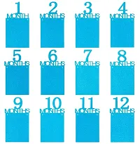 Festiko 1st Birthday Baby Glittery Photo Banner, Newborn to 12 Months Growth Record, Monthly Milestone Photograph Bunting Garland, First Birthday Party Decoration-thumb1