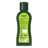 Refresh Amla Hair Oil 100ml Pack of 4-thumb1