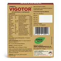 Vigotor Capsule Pack of 1-thumb2