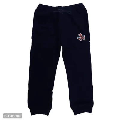 Marvel Spiderman Kid's Regular Joggers (DSMJ018.3_2-3Y_Navy Blue