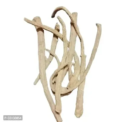 Saraswati Gallery Kuth Bitter Saussurea Lappa Custus Kuth Root Bitter Kuth Roots For Puja and Havan Pack of 100 Gram