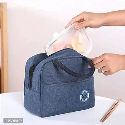 HARDAN Travel Lunch / Tiffin / Storage Bag for Office, School, Picnic, Carry Bag Waterproof Lunch Bag-thumb0