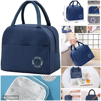 HARDAN Unique Bags Insulated Lunch / Tiffin / Storage Bag for Office, College  School Waterproof Lunch Bag-thumb3