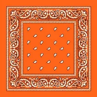 De-Ultimate Combo Of 2 Pcs Black And Orange Double Side Printed Multifunctional Paisley Hanky-thumb2