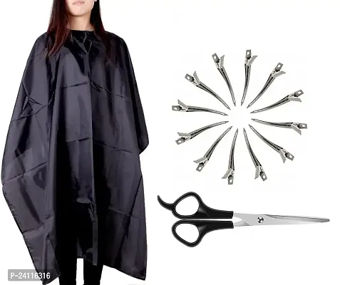 De-Ultimate Combo Of Hair Setting Silver Clip And Scissor Set With Black Hair Cutting Sheet