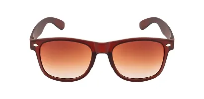 David Martin Wayfarer Sunglasses  (For Men  Women, Brown)-thumb1