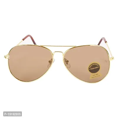 Aviator Sunglasses  (For Men  Women, Brown)