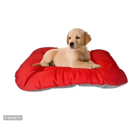 Beautiful Sofa Chairs For Pets - Dogs, Cats-thumb0