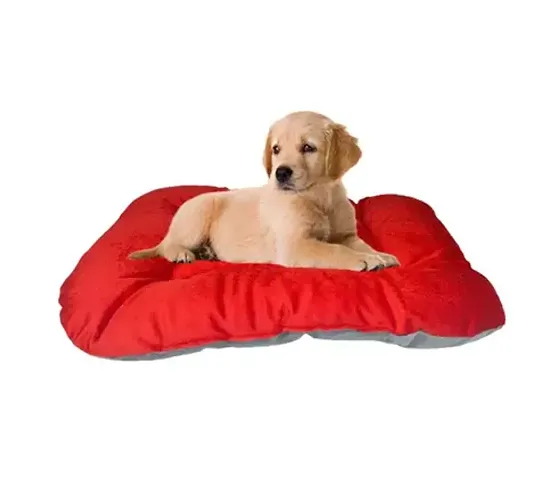 Best Selling Pet Supplies 