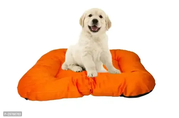 Beautiful Sofa Chairs For Pets - Dogs, Cats