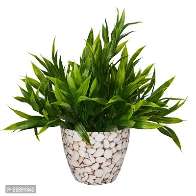 Artificial Bamboo Plant In Round Texture Pot-thumb0