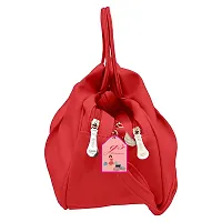 ENVATO Mini Sling Bag For Girls/Woman (RED)-thumb2