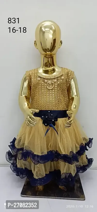Classic Net Embellished Dress for Kids Girl