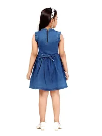 Aarika Girls Blue Color Dress-thumb3