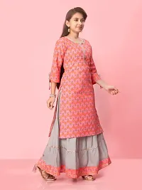 Aarika Girls Gajri-Grey Colour Cotton Printed Kurti Skirt Set-thumb2