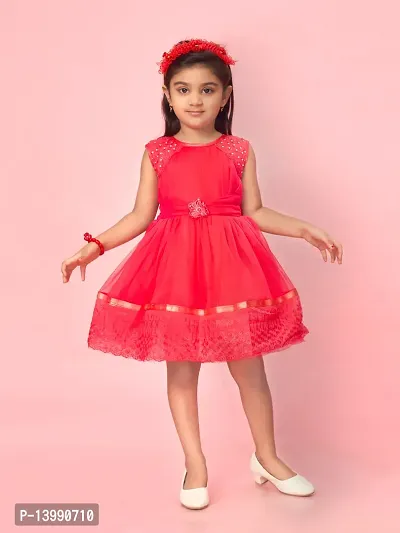 Aarika Girls Rani Color Net Self-Design Frock-thumb0