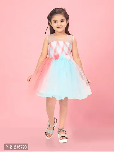 Aarika Girls Multi Colour Solid Net Frock