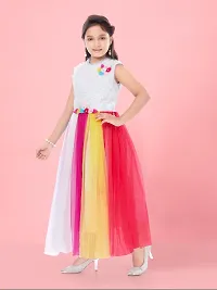Aarika Girls Multi Colour Net Solid Gown-thumb2