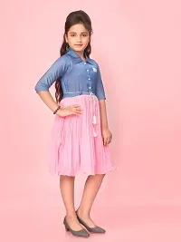 Aarika Girls Pink Colour Cotton Blend Solid Dress-thumb3