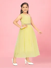 Aarika Girls Lemon Colour Solid Net Gown-thumb1