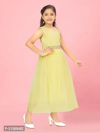 Aarika Girls Lemon Colour Solid Net Gown-thumb2