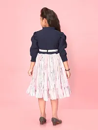Aarika Girls Pink-Navy Blue Colour Georgette Embroidery Frock-thumb3