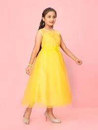 Aarika Girls Yellow Color Net Embroidery Gown-thumb1