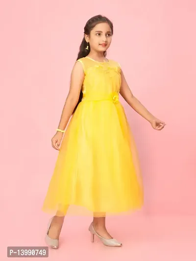Aarika Girls Yellow Color Net Embroidery Gown-thumb2