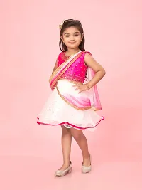 Aarika Girls Rani-White Color Net Embroidery Dress-thumb2