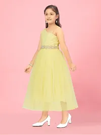 Aarika Girls Lemon Colour Solid Net Gown-thumb2