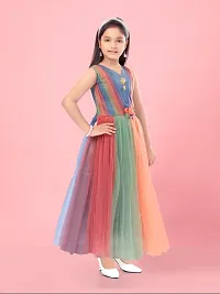 Aarika Girls Multi Colour Net Solid Gown-thumb1