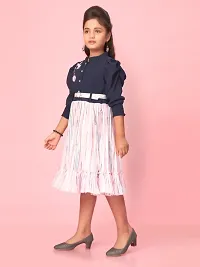 Aarika Girls Pink-Navy Blue Colour Georgette Embroidery Frock-thumb2
