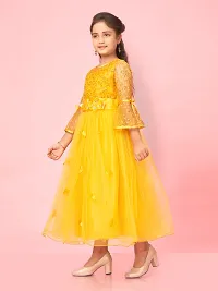 Aarika Girls Yellow Colour Nylon Self Design Gown-thumb2