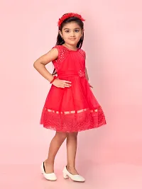 Aarika Girls Rani Color Net Self-Design Frock-thumb2