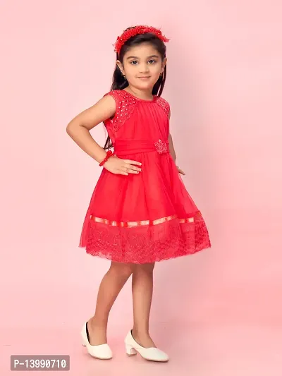 Aarika Girls Rani Color Net Self-Design Frock-thumb3