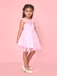 Aarika Girls Pink Color Polyester Self Design Frock-thumb1