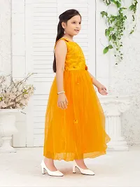Aarika Girls Party Wear Yellow Colour Embroidery Net Gown-thumb1