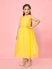 Aarika Girls Yellow Color Net Embroidery Gown-thumb2