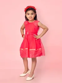 Aarika Girls Rani Color Net Self-Design Frock-thumb1