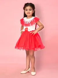 Aarika Girls Gajri Color Net Solid Frock-thumb1