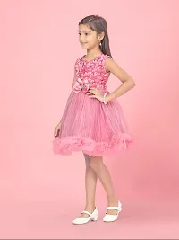 Aarika Girls Pink Colour Net Embellished Frock-thumb2