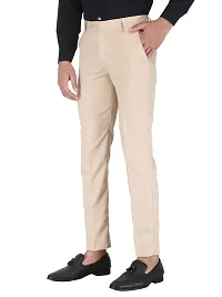 Shieldarm Slim Fit Beige Formal Trouser for Men - Polyester Viscose Bottom Formal Pants for Gents - Office Utility Formal Pants for Mens - 28-thumb2
