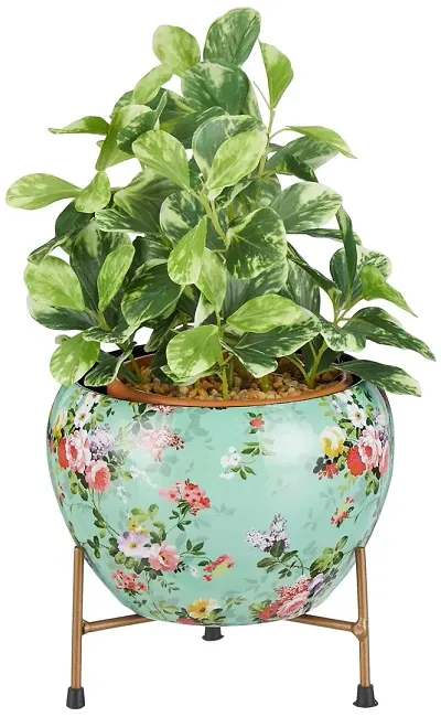 New Arrival Plant & Planters 