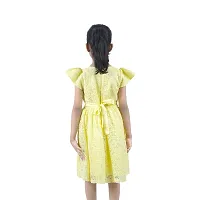 Classic Cotton Plain A-Line Frock for Kids Girls-thumb1