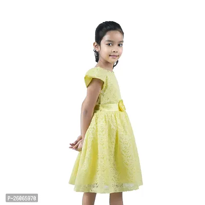 Classic Cotton Plain A-Line Frock for Kids Girls-thumb4