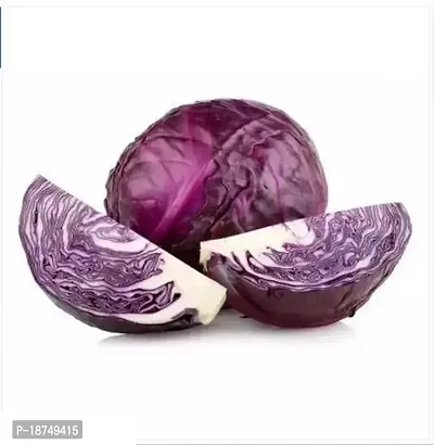 Red Cabbage Seed (100 Per Packet)-thumb0
